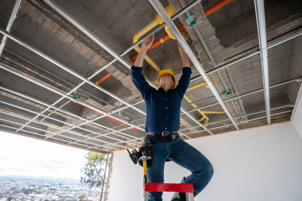 Best Same-Day Plumbing Service  in South Apopka, FL
