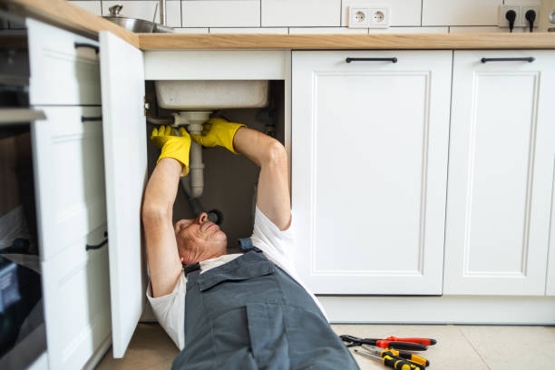 Best Water Softener Installation  in South Apopka, FL